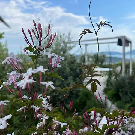 Guest house Hortensia By Le Rose *